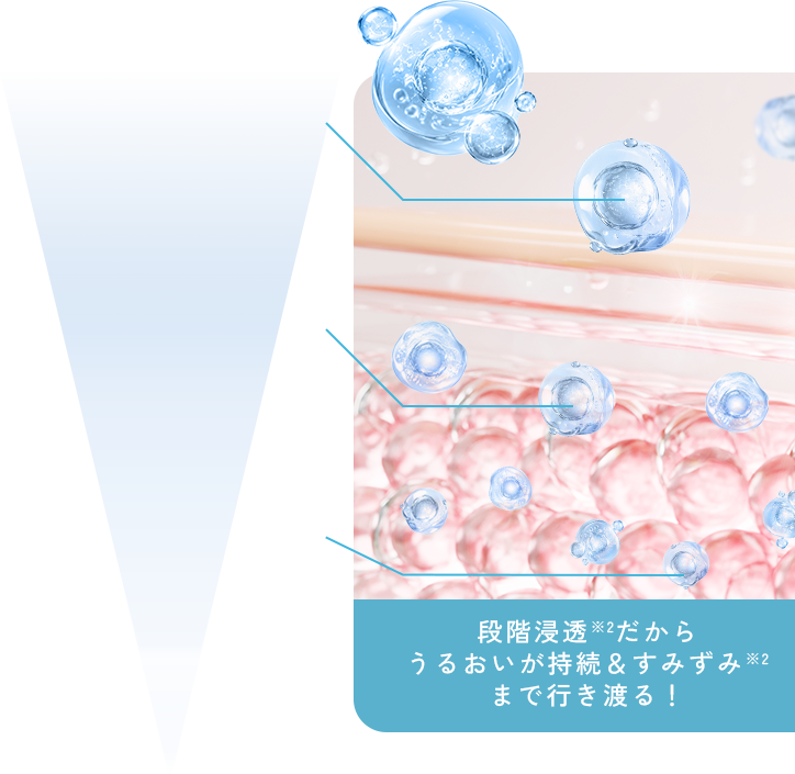 段階浸透※2だから うるおいが持続＆すみずみ※2 まで行き渡る！