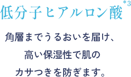 低分子ヒアルロン酸 ⾓層までうるおいを届け、⾼い保湿性で肌の カサつきを防ぎます。