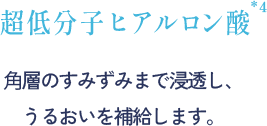 超低分子ヒアルロン酸 ⾓層のすみずみまで浸透し、うるおいを補給します。