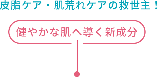 皮脂ケア・肌荒れケアの救世主！健やかな肌へ導く新成分