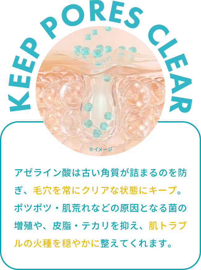アゼライン酸は古い⾓質が詰まるのを防ぎ、毛穴を常にクリアな状態にキープ。ポツポツ・肌荒れなどの原因となる菌の増殖や、⽪脂・テカリを抑え、肌トラブルの火種を穏やかに整えてくれます。
