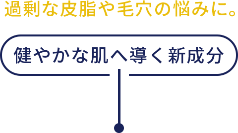 過剰な⽪脂や⽑⽳の悩みに。健やかな肌へ導く新成分