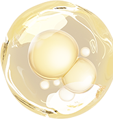 bubble