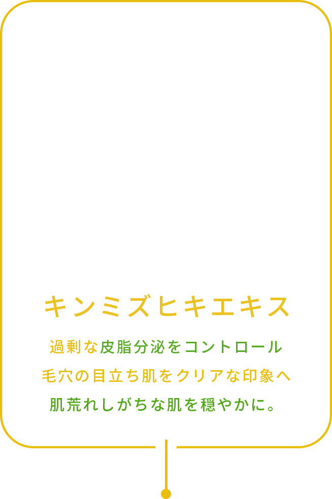 キンミズヒキエキス 過剰な⽪脂分泌をコントロール ⽑⽳の⽬⽴ち肌をクリアな印象へ 肌荒れしがちな肌を穏やかに。