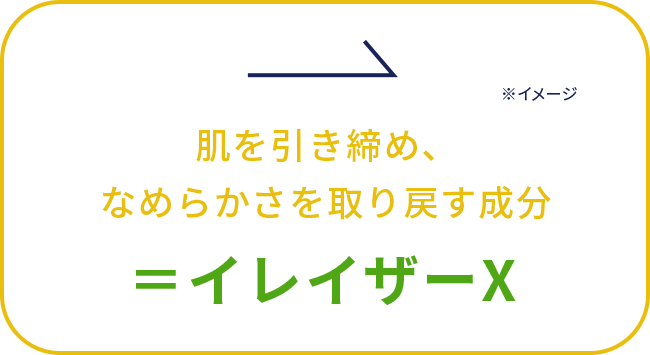 肌を引き締め、 なめらかさを取り戻す成分 ＝イレイザーX