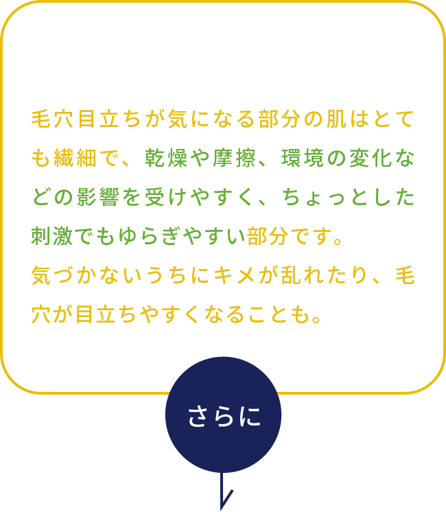 ⽑⽳⽬⽴ちが気になる部分の肌はとても繊細で、乾燥や摩擦、環境の変化などの影響を受けやすく、ちょっとした刺激でもゆらぎやすい部分です。気づかないうちにキメが乱れたり、⽑⽳が⽬⽴ちやすくなることも。