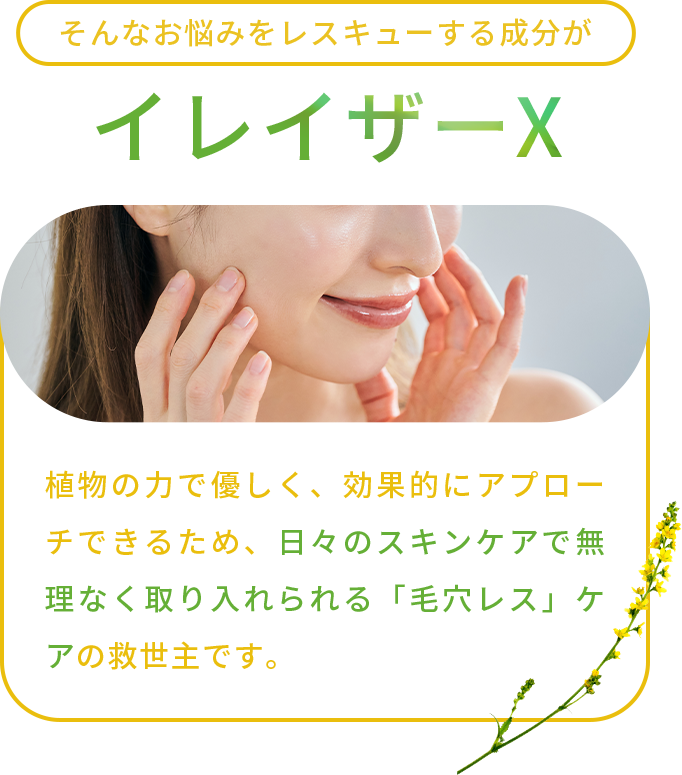 そんなお悩みをレスキューする成分がイレイザーX。植物の⼒で優しく、効果的にアプローチできるため、⽇々のスキンケアで無理なく取り⼊れられる「⽑⽳レス」ケアの救世主です。
