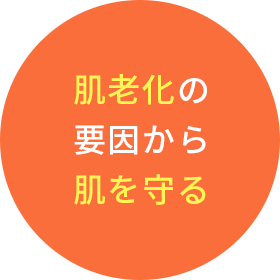 肌老化の要因から肌を守る
