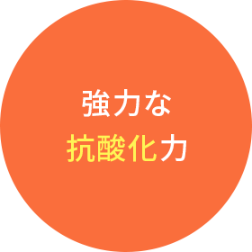 強力な抗酸化力