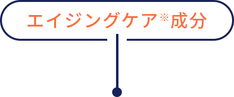 エイジングケア※成分