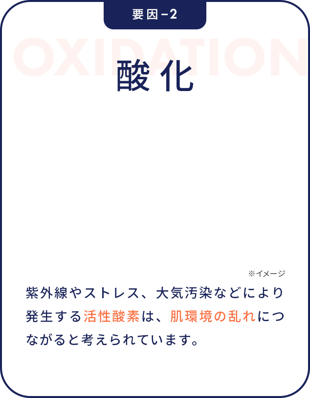 酸化 紫外線やストレス、大気汚染などにより発生する活性酸素は、肌環境の乱れにつながると考えられています。