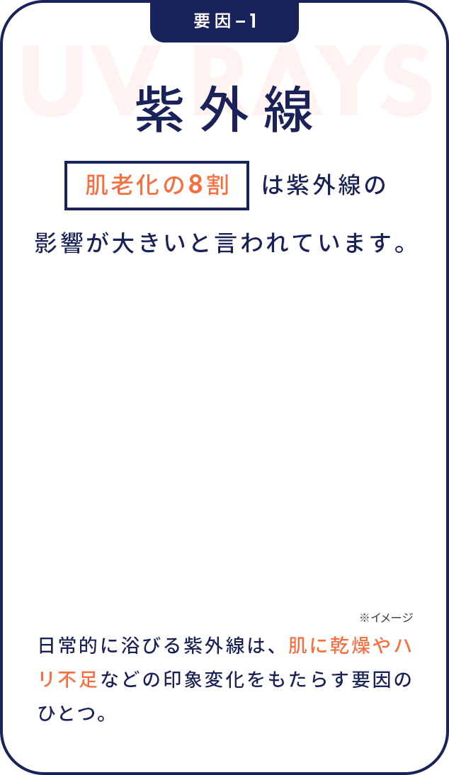 紫外線 肌老化の8割は紫外線の影響が大きいと言われています。日常的に浴びる紫外線は、肌に乾燥やハリ不足などの印象変化をもたらす要因のひとつ。