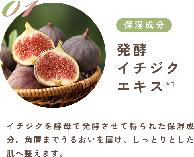 発酵 イチジク エキス*1