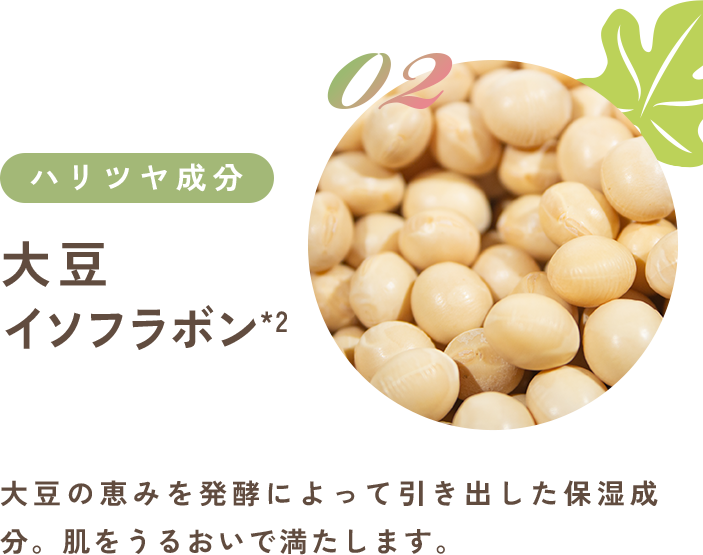 大豆 イソフラボン*2