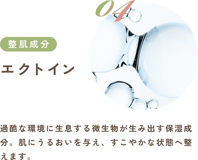 エクトイン
