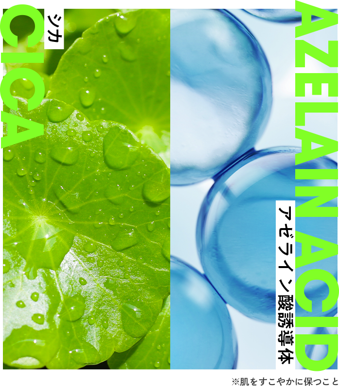 シカ・アゼライン酸誘導体