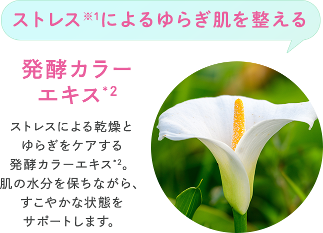 ストレス※1によるゆらぎ肌を整える 発酵カラー エキス*2 ストレスによる乾燥とゆらぎをケアする発酵カラーエキス*2。肌の水分を保ちながら、すこやかな状態をサポートします。