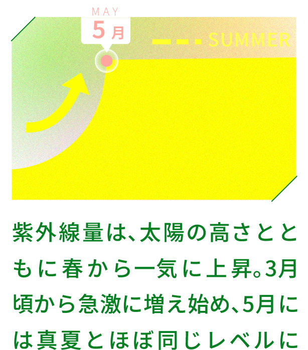 紫外線量は､太陽の⾼さとともに春から⼀気に上昇｡3⽉頃から急激に増え始め､5⽉には真夏とほぼ同じレベルになるとも⾔われています