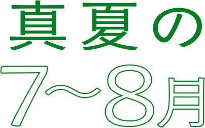 真夏の7月・8月