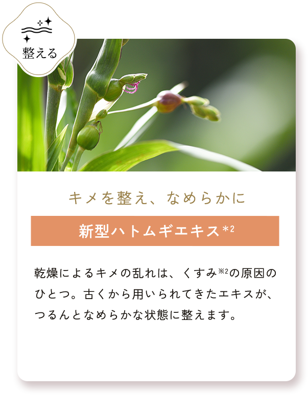 新型ハトムギエキス＊2