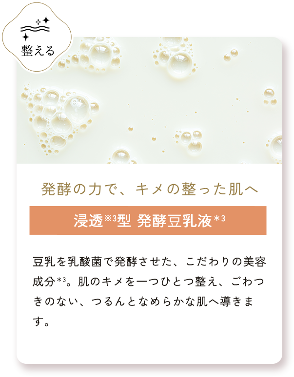 浸透※3型 発酵⾖乳液＊3