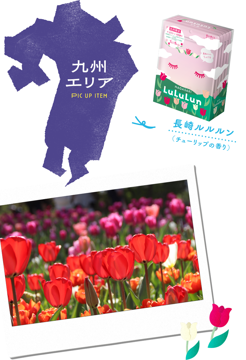 九州エリア