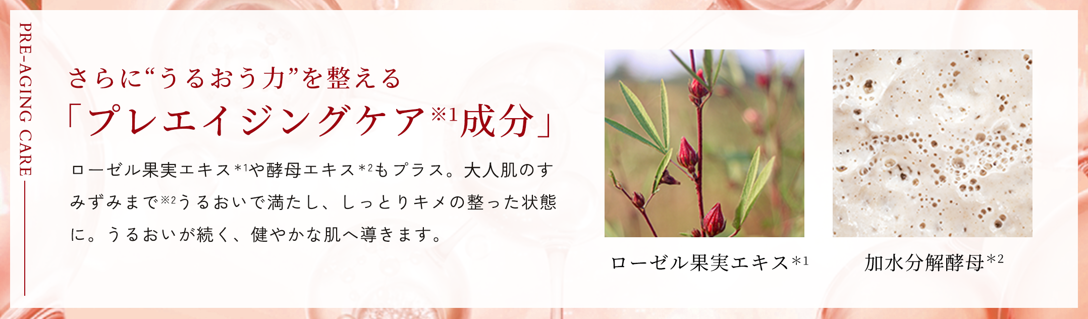 さらに“うるおう⼒”を整える「プレエイジングケア※1成分」