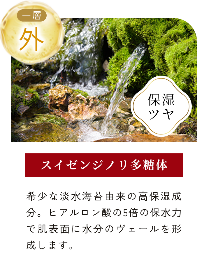 スイゼンジノリ多糖体