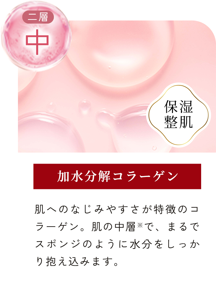 加⽔分解コラーゲン