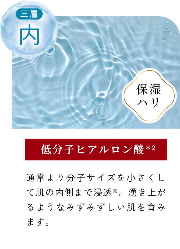 低分⼦ヒアルロン酸＊2