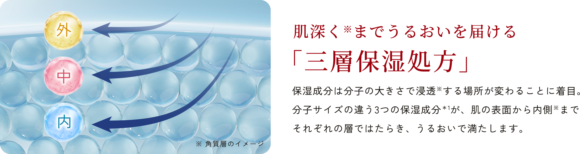 肌深く※までうるおいを届ける「三層保湿処⽅」