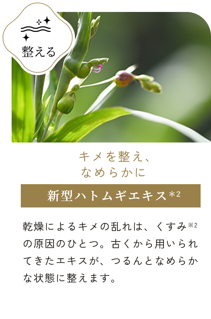 新型ハトムギエキス＊2
