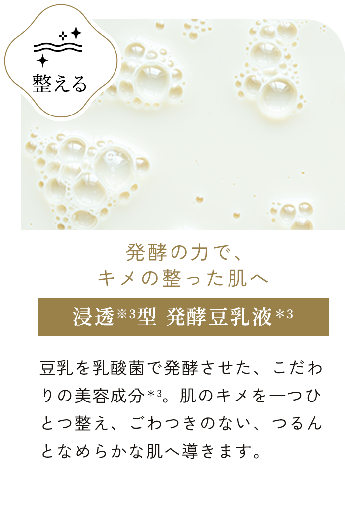 浸透※3型 発酵⾖乳液＊3