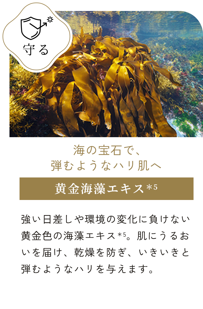 ⻩⾦海藻エキス＊5
