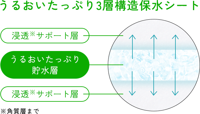うるおいたっぷり3層構造保水シート 浸透※サポート層 うるおいたっぷり貯水層 浸透※サポート層 ※角質層まで