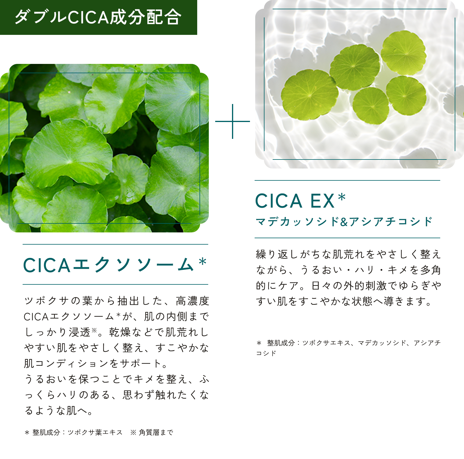 ダブルCICA成分配合 CICAエクソソーム＊ CICA EX＊ マデカッソシド&アシアチコシド