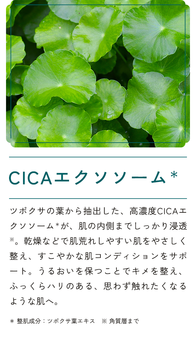 CICAエクソソーム＊