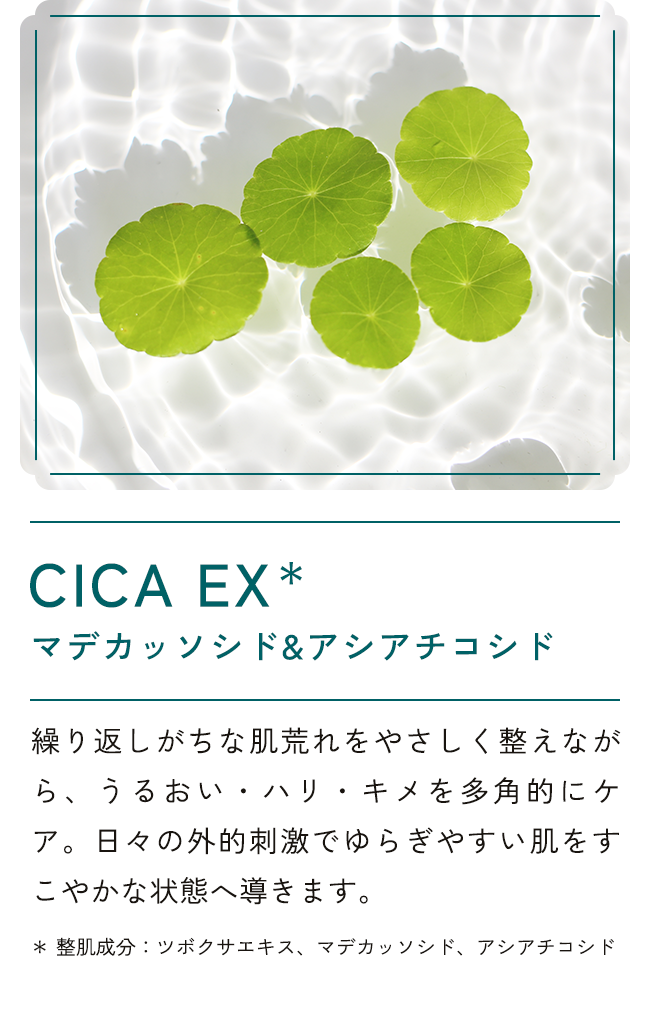 CICA EX＊