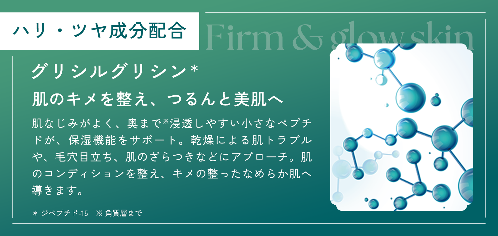 ハリ・ツヤ成分配合 グリシルグリシン＊ 肌のキメを整え、つるんと美肌へ
