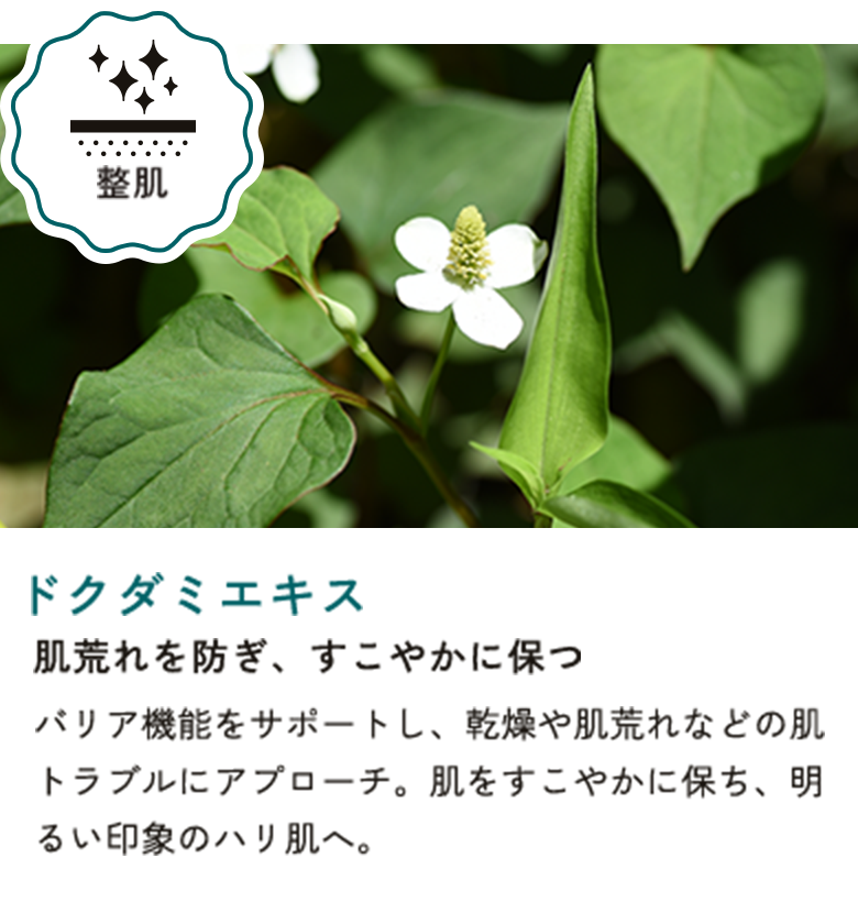 ドクダミエキス 肌荒れを防ぎ、すこやかに保つ