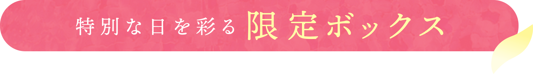 特別な日を彩る限定ボックス