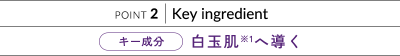 POINT 2 Key ingredient 白玉肌※1へ導く