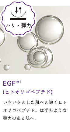EGF＊1 (ヒトオリゴペプチド)