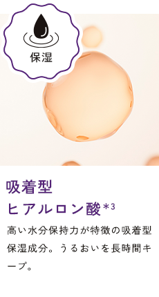 吸着型 ヒアルロン酸＊3