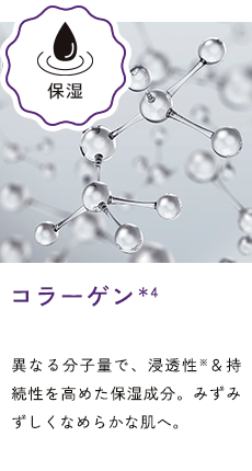 コラーゲン＊4