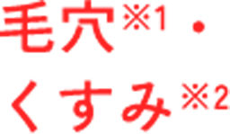 毛穴※1 くすみ※2