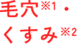 毛穴※1 くすみ※2
