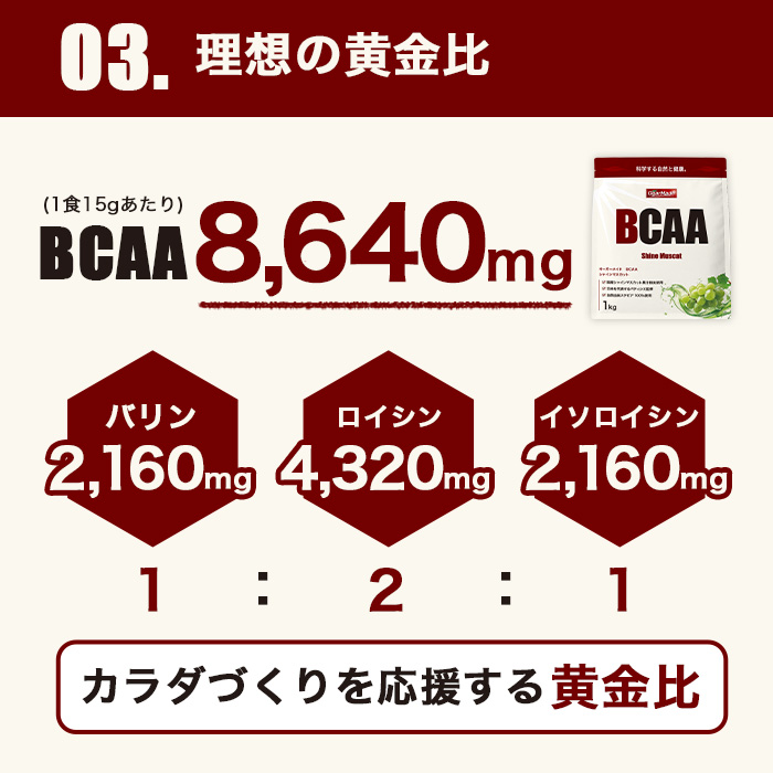 BCAA04