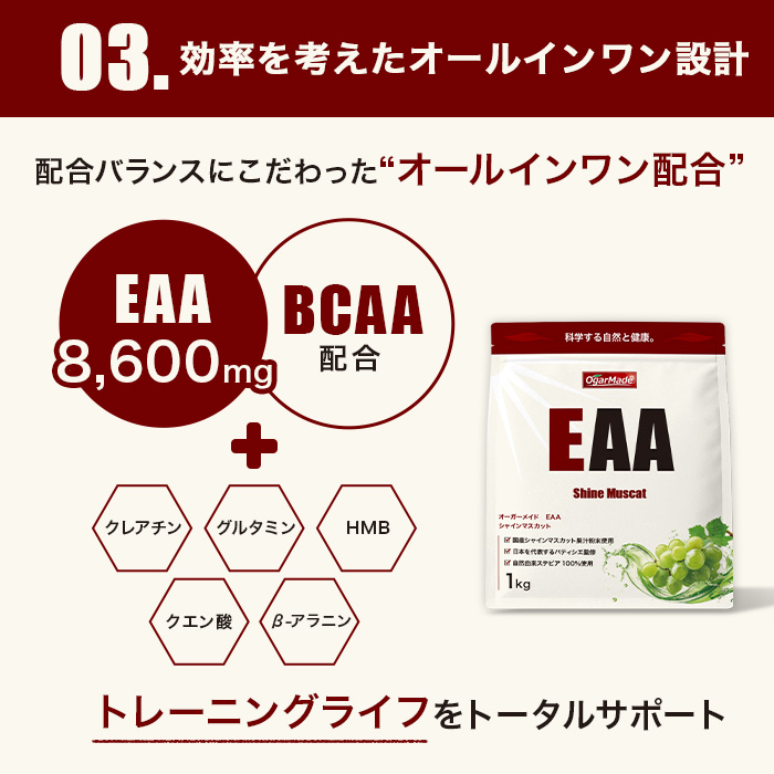 EAA04