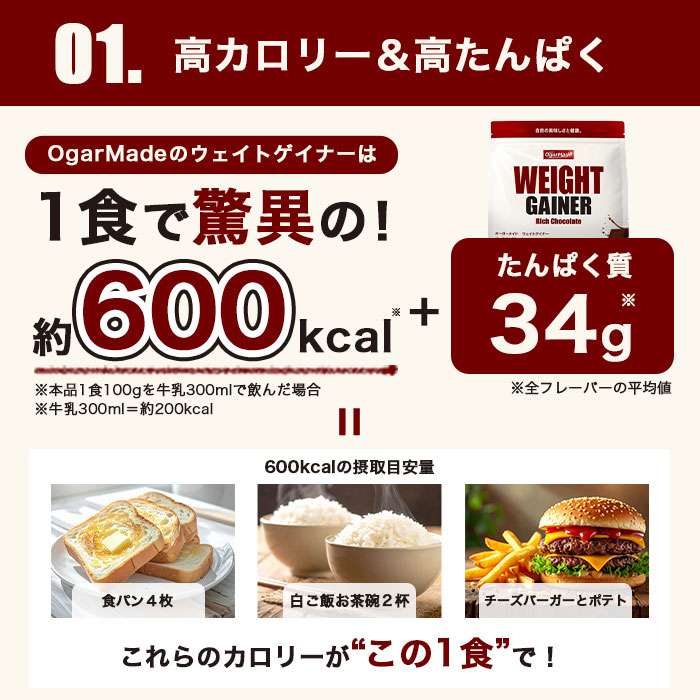 ゲイナー03